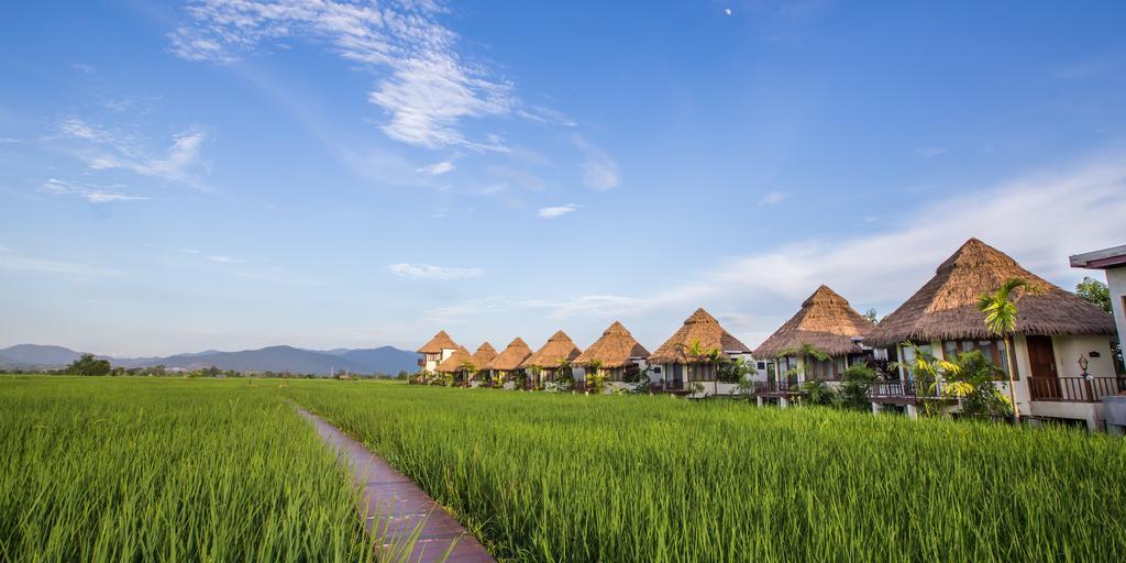 Phusanfah Resort Mae Taeng Ngoại thất bức ảnh