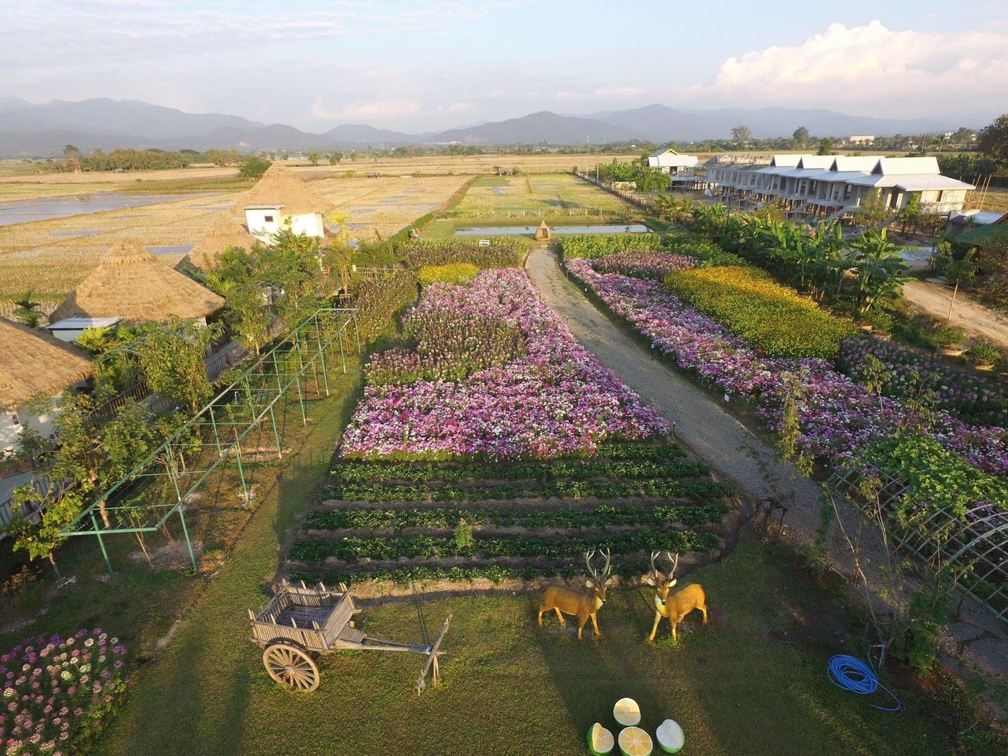 Phusanfah Resort Mae Taeng Ngoại thất bức ảnh