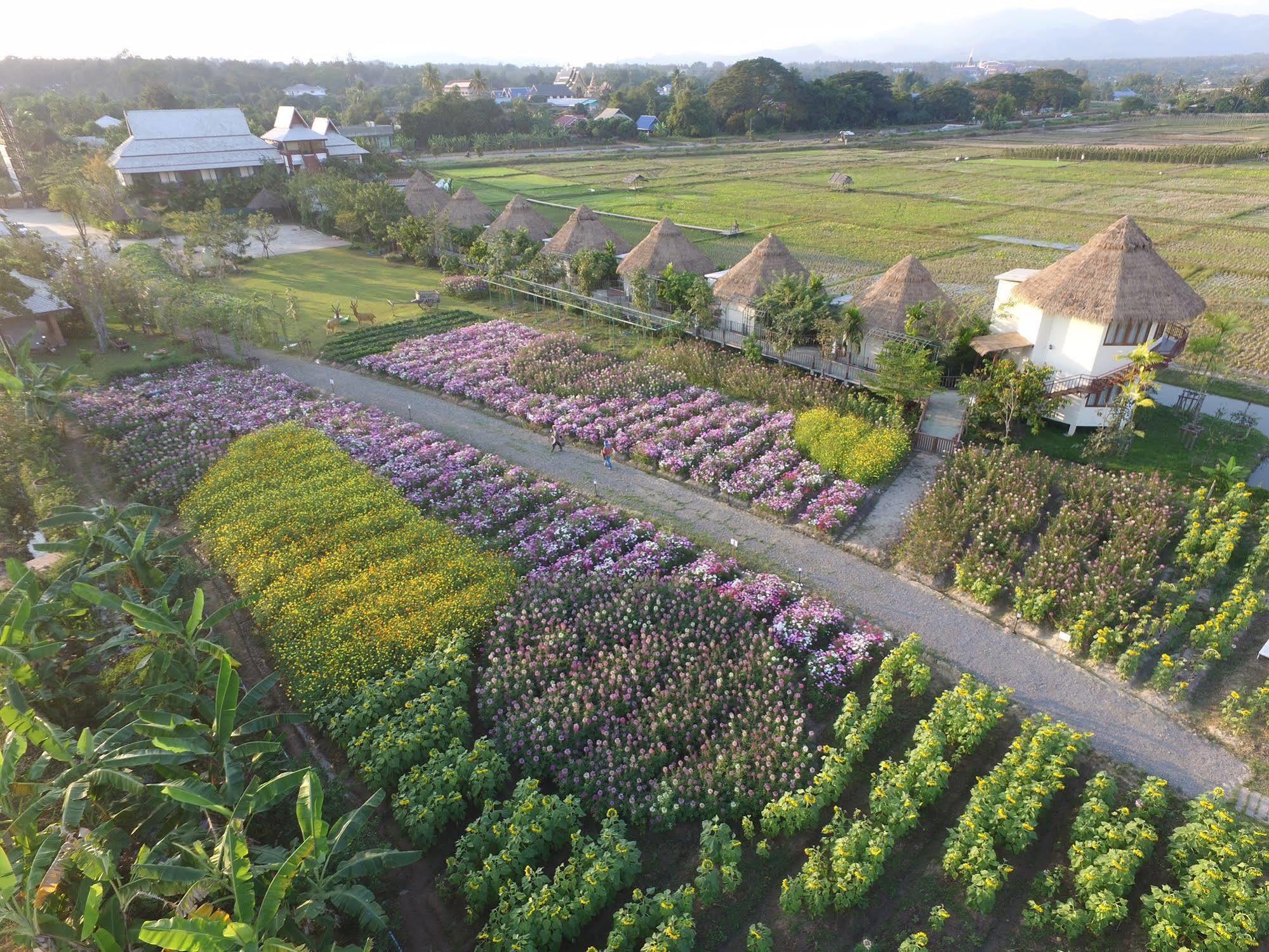 Phusanfah Resort Mae Taeng Ngoại thất bức ảnh
